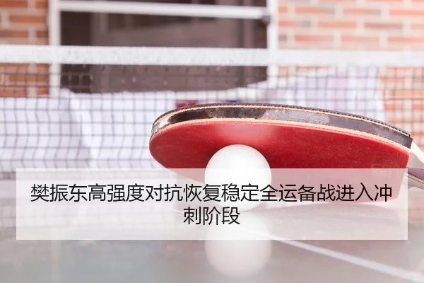 樊振东高强度对抗恢复稳定全运备战进入冲刺阶段（MilanSports）