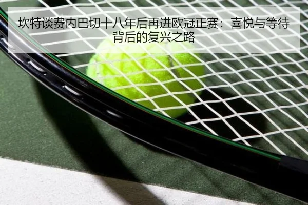 坎特谈费内巴切十八年后再进欧冠正赛：喜悦与等待背后的复兴之路（MilanSports）