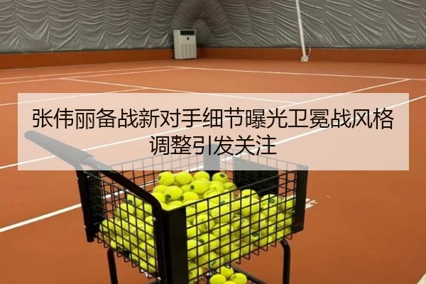 张伟丽备战新对手细节曝光卫冕战风格调整引发关注（MilanSports）