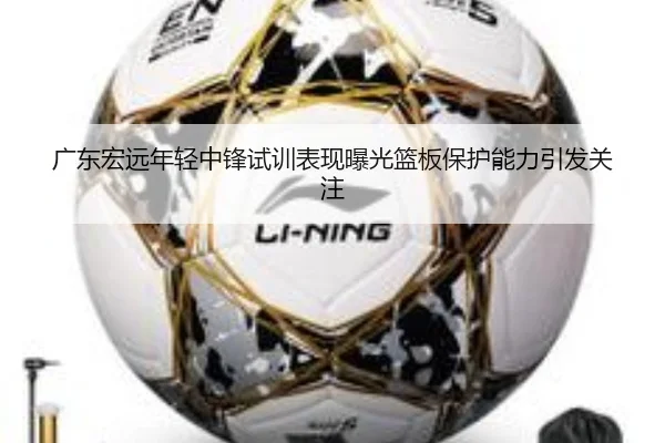 广东宏远年轻中锋试训表现曝光篮板保护能力引发关注 | MilanSports